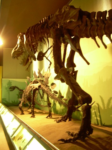 [DSCN12542.jpg]