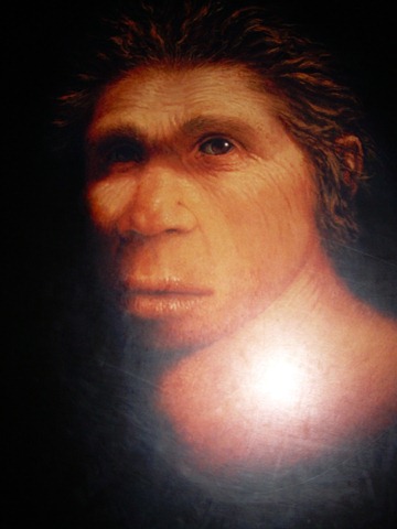 [Sapiens2.jpg]