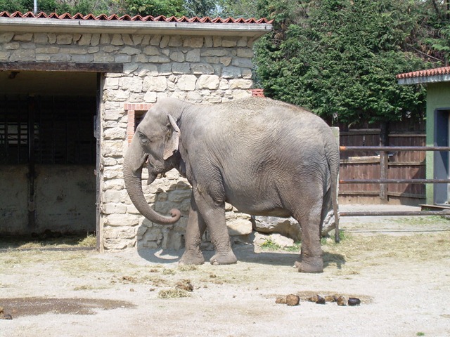 [DSCN04502.jpg]
