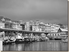 DSCF3233