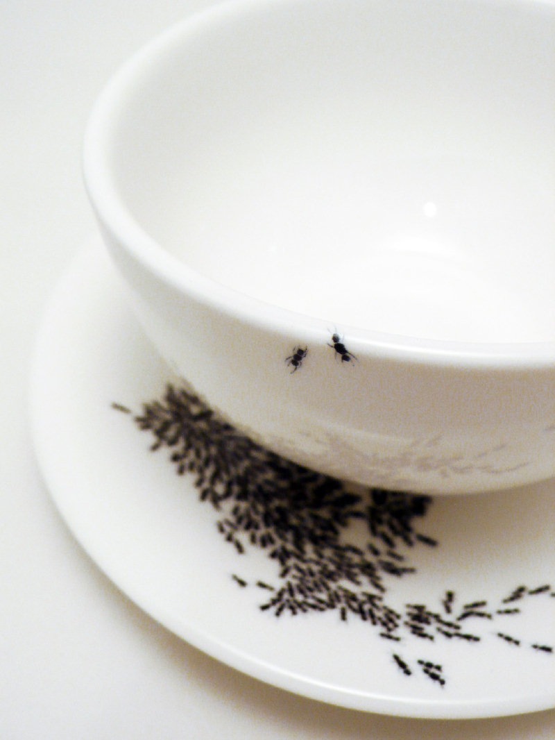 [ant-cups[3].jpg]