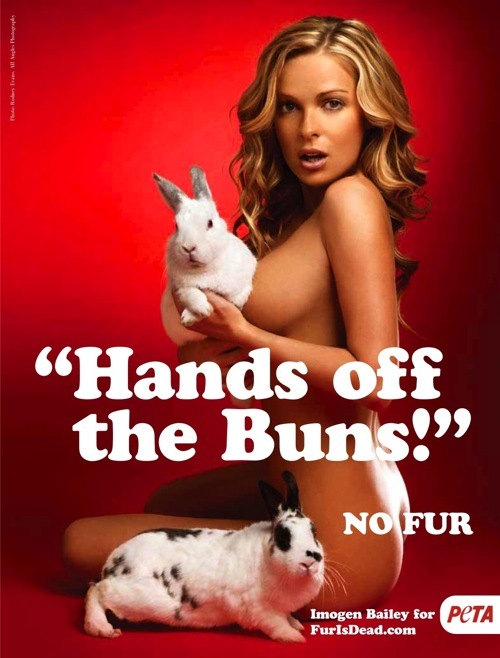 [peta (16)[3].jpg]