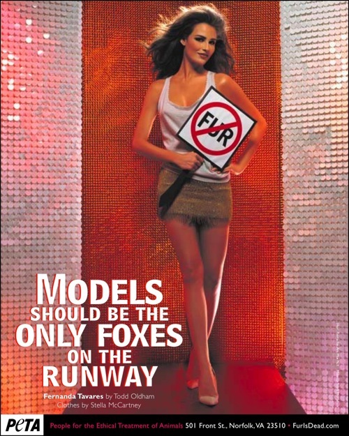 [peta (14)[3].jpg]