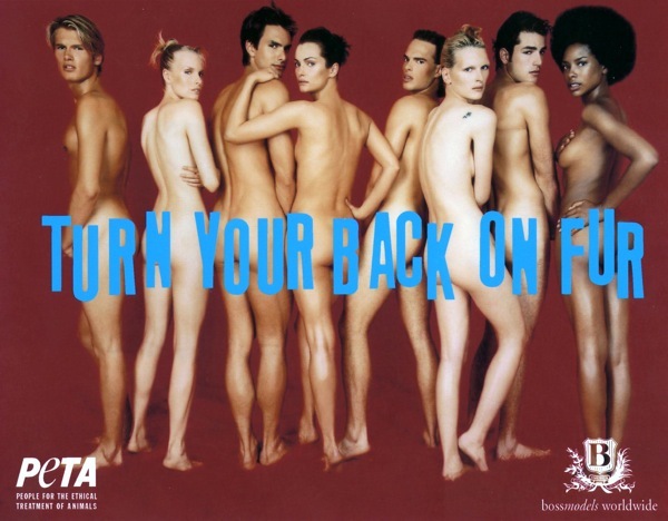 [peta (10)[2].jpg]