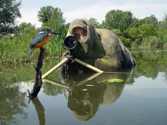 [photographers ]