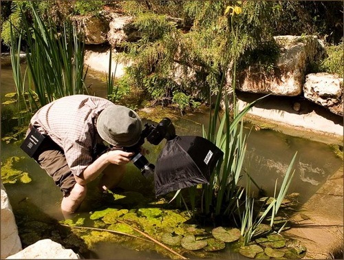 photographers (62) photographers (62)