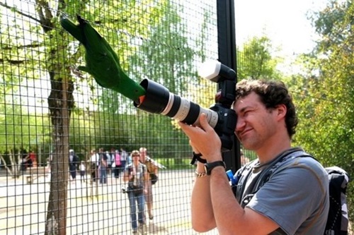 photographers (42) photographers (42)
