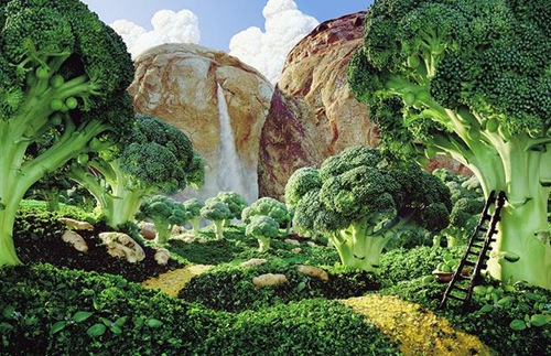 Amazing food landscapes Seen On www.coolpicturegallery.us