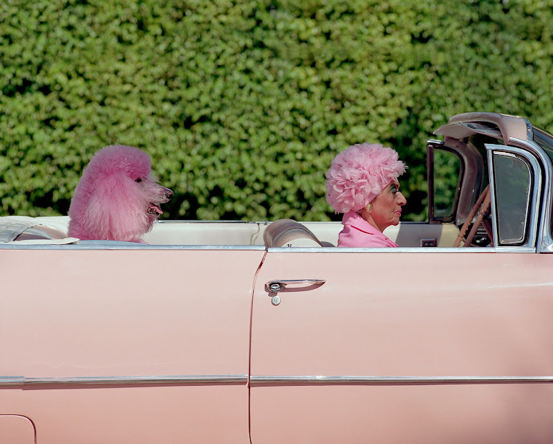 Pink heads