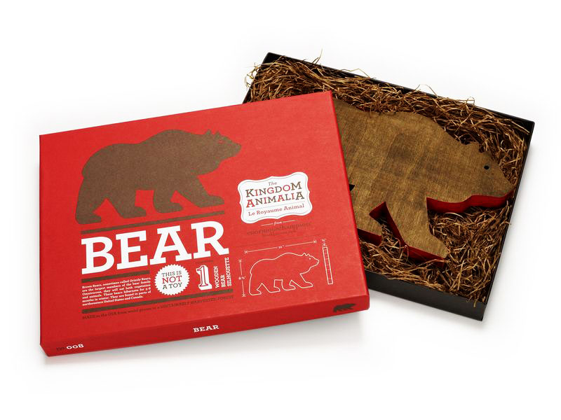 Kingdom Animalia. Bear