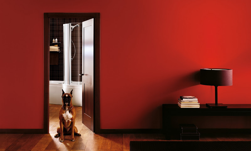 Interior and dog. Red.