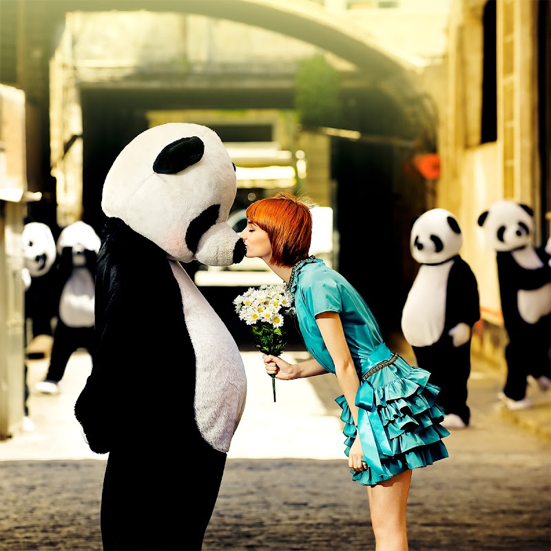 Panda, I love you