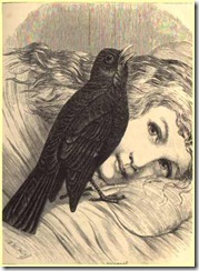 blackbird