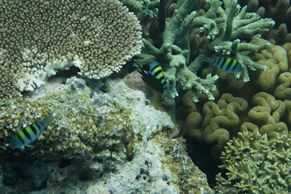 Hatta090119-29.jn6yJHBsDadD.jpg