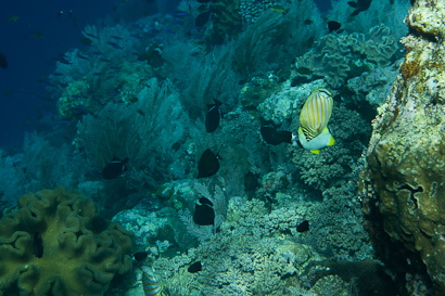 Rhun_Ai_090122-156.XcCXP5tZrJOd.jpg