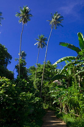 Bunaken090201b-4.Gukjal48JjZe.jpg