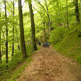 Titlu: Parcul National Cozia<br />
Autor: Irina-Doina Ilisuan” width=”160″ height=”160″ id=”shashin_thumb_image_28″ title=”Titlu: Parcul National Cozia<br />
Autor: Irina-Doina Ilisuan” /></a>
<div class=
