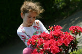 IMG_5888.JPG