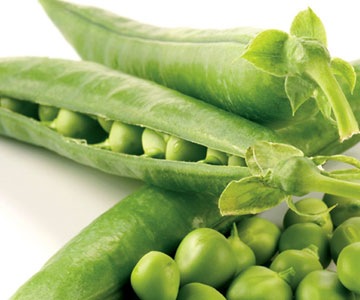 [peas[2].jpg]
