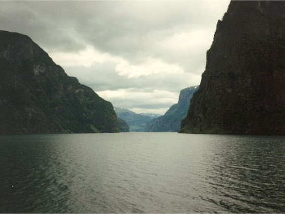 Panoramic view to Norwegian fjord