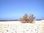 El Cotillo beach