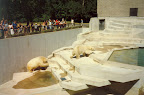 Como Park Zoo in St. Paul
