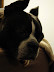 P1000009.JPG