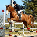 Concours