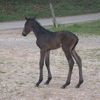 DSCN8119.JPG