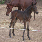 DSCN8258.JPG