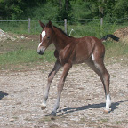 DSCN8259.JPG