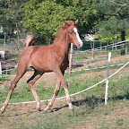 DSCN6010.JPG