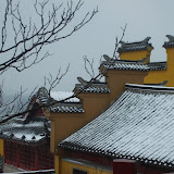 20080113?????-??? &ndash; 