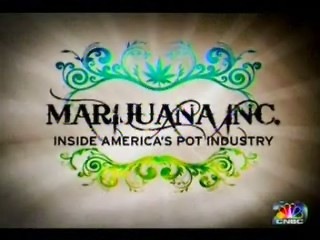 [MarijuanaInc[6].jpg]