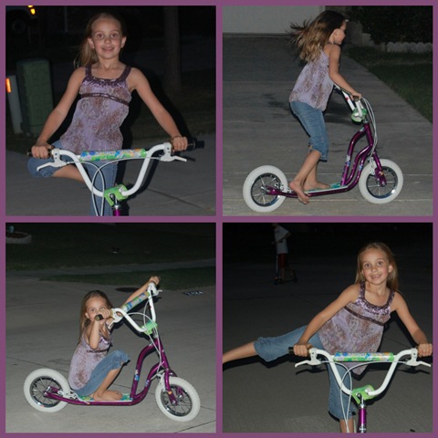 [Scooter Collage[3].jpg]