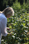Enjoying my Farm