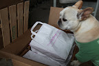 Oh YAY!!!  This crate contains lilies!
