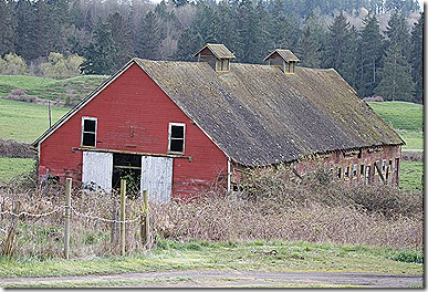 _MG_7196 _MG_7196