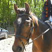 DSCN2188.JPG