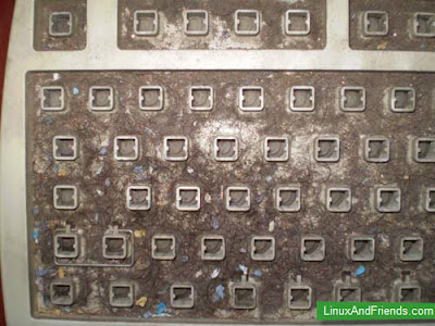 Dirt and grime inside my keyboard Do I see hair and pieces of paper in there ?