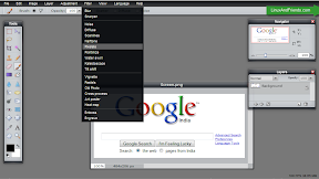 The image is opened in the online Pixlr image editor.