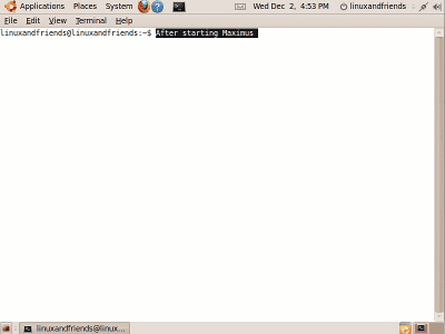 Ubuntu desktop terminal in maximized state