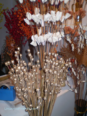Bamboo flowers Bamboo flowers