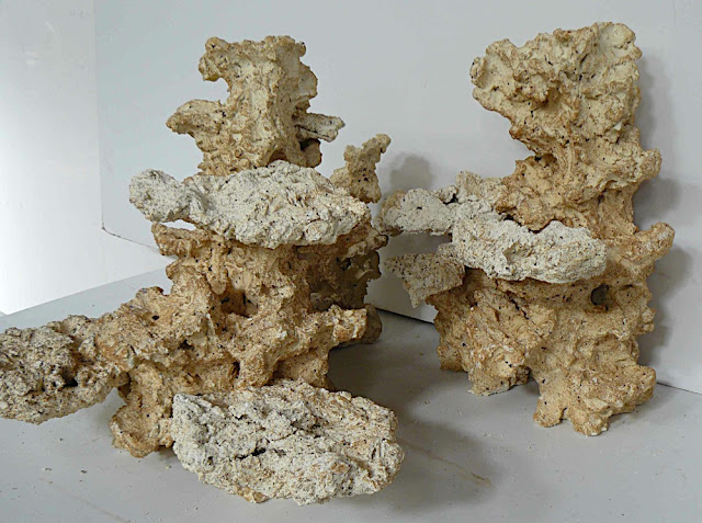 [Image: avec%20roches%20eco%20reef%20plates_deco...%20008.jpg]