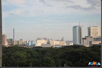 DSC_0091 DSC_0091