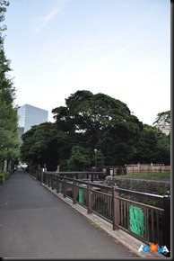 DSC_0096 DSC_0096