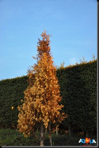 DSC_0124 DSC_0124
