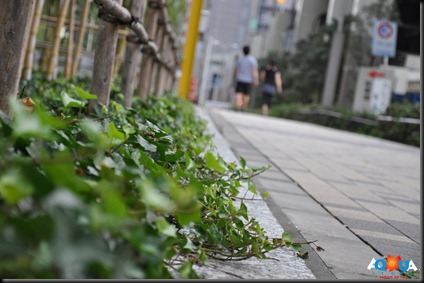DSC_0229 DSC_0229