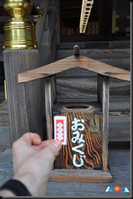 DSC_1000 DSC_1000