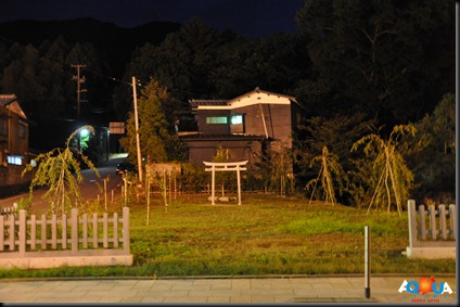 DSC_0062 DSC_0062